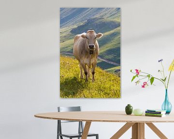 Kuh auf der Weide in Grauünden, Schweiz von Werner Dieterich