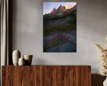 Sonnenaufgang im Nationalpark der Écrins in den französischen Alpen mit violetten Blumen im Vordergr von Jos Pannekoek