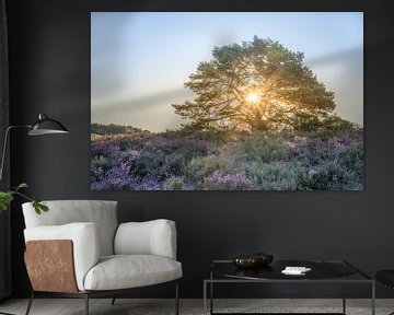 Zonnestralen tijdens de zonsopkomst op de Brunssummerheide van John van de Gazelle fotografie