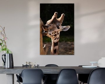 Giraffe van Erika Schouten