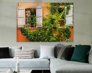 French facade with climbing plant and shutters