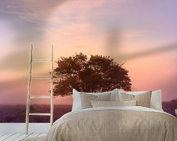 Mistige ochtend op de Zuiderheide bij Hilversum van Michiel Dros