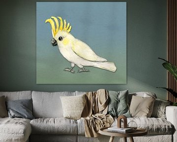 Sulphur crested cockatoo by Bianca Wisseloo