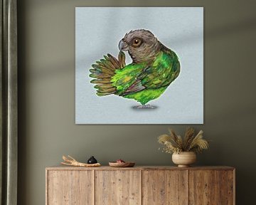 Brown-headed Parrot by Bianca Wisseloo