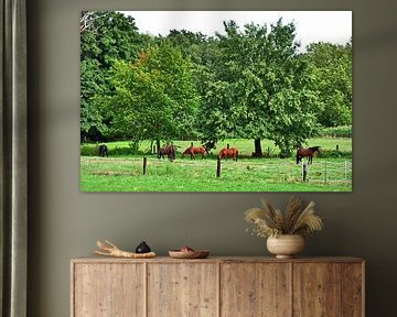 Horse pasture 1