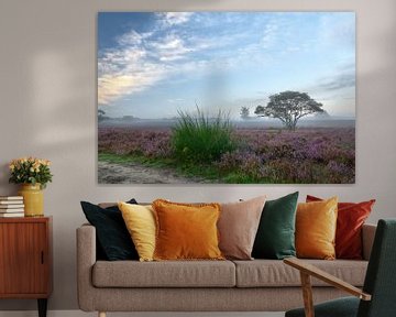 Sunrise on the blossoming purple heather by Ad Jekel