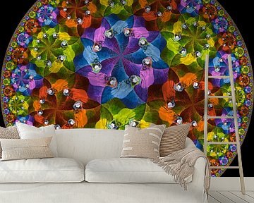 Dans der Papegaaien van Tis Veugen