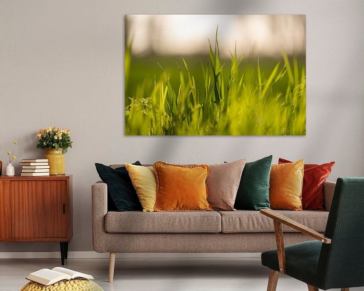 Impression: Grass sur Florian Kampes