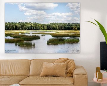 quiet lake with row of trees