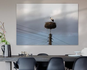 Cigogne sur son nid sur un haut poteau électrique
