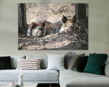 Chill out together by Simon Dekker