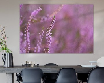 Close up van paarse heide pracht in de natuur met een zacht paarse achtergrond van Jolanda de Jong-Jansen