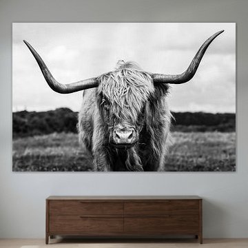 Portrait des Highlands écossais