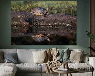 Schildkröte im Mastbos Breda, Landschaft von Andre Gerbens