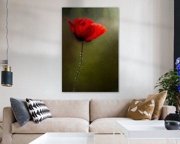 Painted Red Poppy Flower On Green Background by Diana van Tankeren