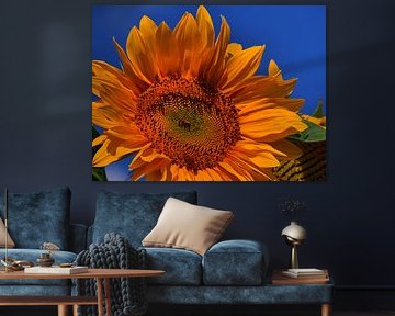 L'approche des abeilles