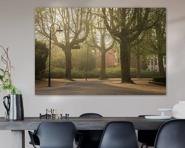 Noorderplantsoen Groningen, Mistig trees in the Noorderplantsoen near the park pond by Hessel de Jong