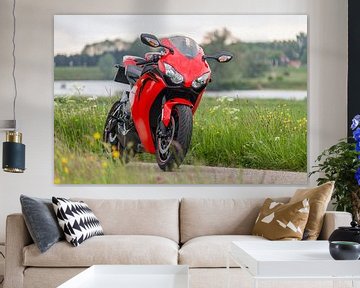 Honda Fireblade Repsol motorfiets van Joost Winkens