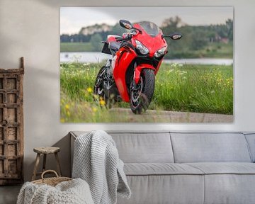 Honda Fireblade Repsol motorcycle by Joost Winkens