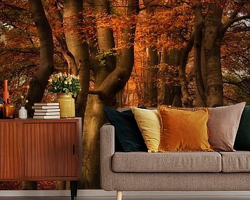 Dreamy autumn atmosphere in the forest: Orange-brown hues in nature by Marjolijn van den Berg