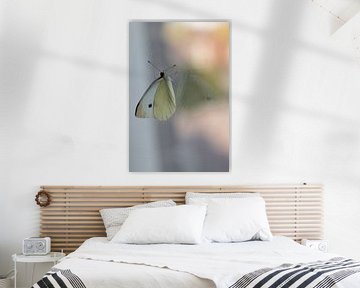 Vlinder, spiegelbeeld van Nynke Altenburg