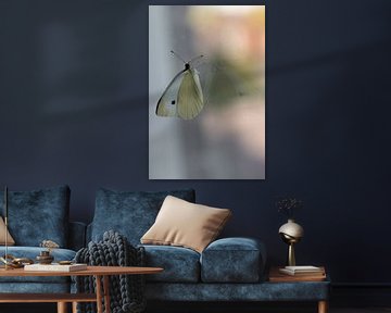 Vlinder, spiegelbeeld van Nynke Altenburg