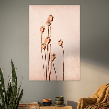 Poppy, botanical print by Joske Kempink