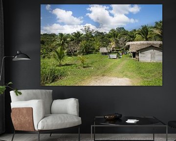 Green village in the jungle of Belize by Joost Winkens