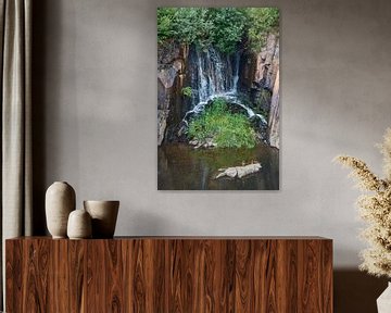 waterfall by Geertjan Plooijer