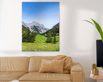 Blick auf die Bindalm im Berchtesgadener Land von Rico Ködder