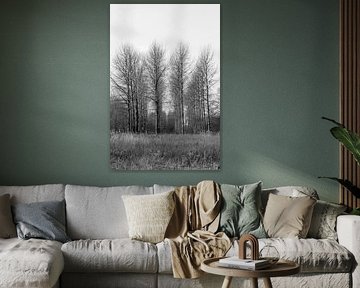 Trees by sophiimage