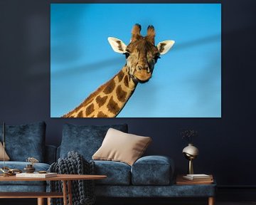 Giraf van sophiimage