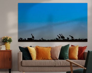 Giraffe silhouettes by Van Renselaar Fotografie