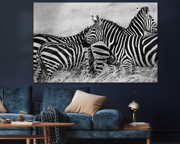 Zebra onderonsje van Van Renselaar Fotografie