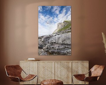 Formation rocheuse avec un oiseau, Lofoten Norvège sur Erik Borkent
