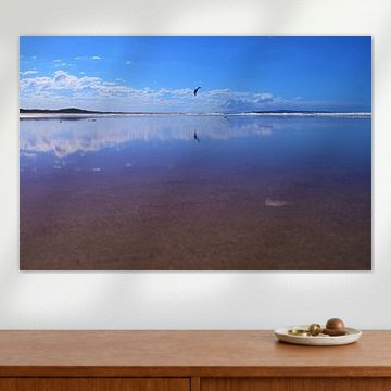 Hoch wie ein Drachen