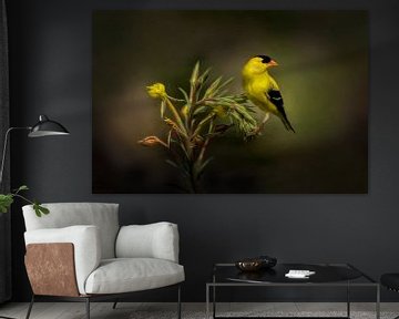 American Goldfinch Perched On Green Plant by Diana van Tankeren
