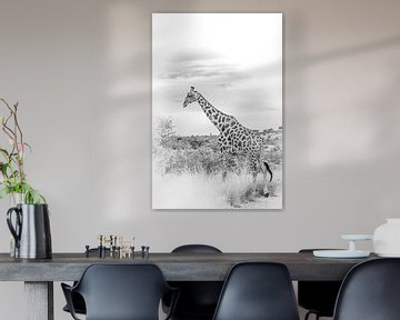 Girafe en noir et blanc. sur Gunter Nuyts