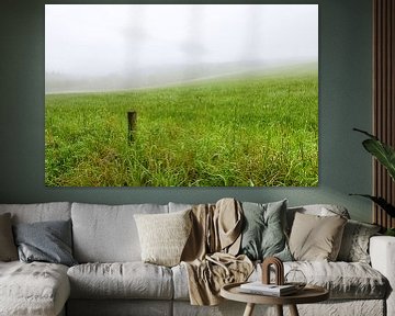 Wooden post in foggy grass landscape
