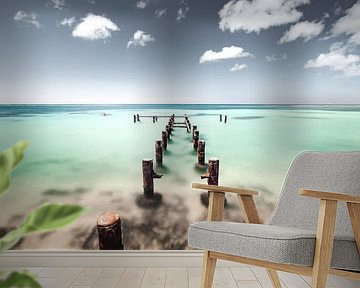 Dreamfuel by Claire Droppert