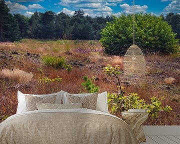 De Weerterheide een mooi natuurgebied in Limburgs Nederland van Jolanda de Jong-Jansen