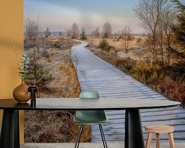 Houten wandelpad in Hoge Venen