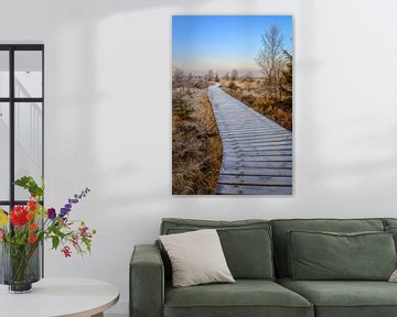 Chemin de promenade en bois dans les High Fens