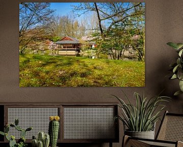 Japanischer Garten Hasselt von Johan Vanbockryck