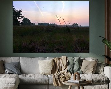 Sonnenaufgang in der Asselse Heide von Wiljo van Essen