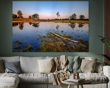 Pond at sunset