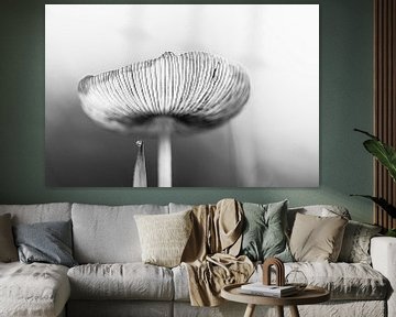 Hazenpootje paddenstoel zwartwit van Lucia Leemans