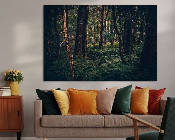 Aperçu de la chambre