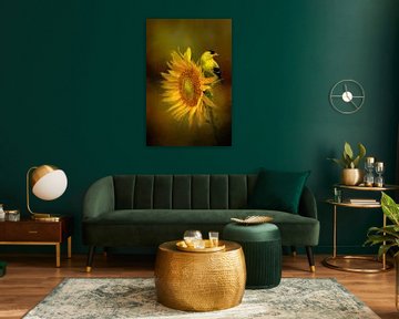 Goldspeiseeis auf Sonnenblume von Diana van Tankeren