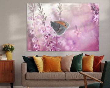 Butterfly (hayfly) on the flowering pink purple heather by KB Design & Photography (Karen Brouwer)